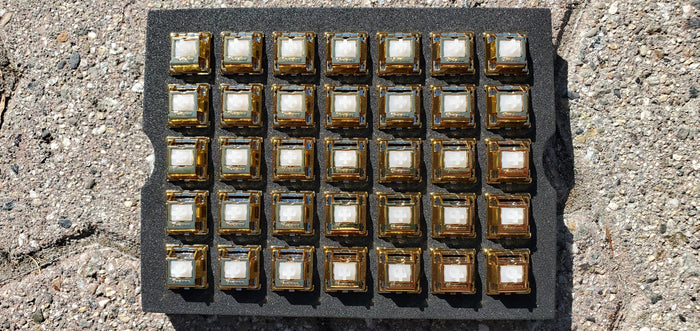 Tecsee Metal Coated Switches