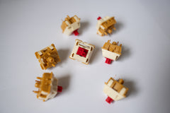 Close up of BSUN Strawberry Cheesecake Switch