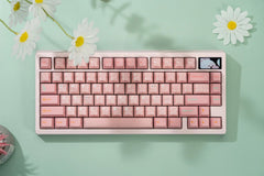 [Pre-Order] Zoom75 by Meletrix - KeebsForAll